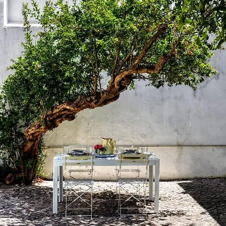 Secret Garden In Alfama Lisbona
